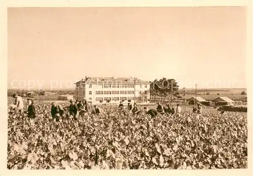 AK / Ansichtskarte Reims_Champagne_Ardenne G.H. Mumm et Cie Ste Vinicole de Champagne Succ Reims_Champagne_Ardenne