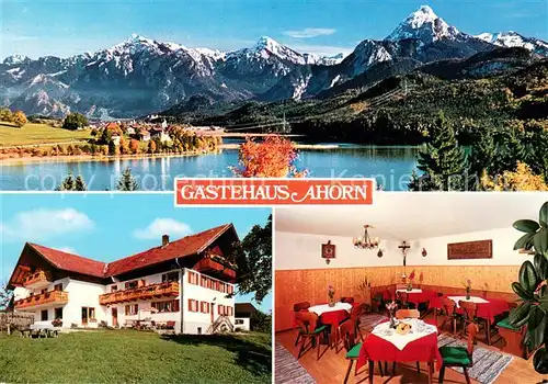 AK / Ansichtskarte Weissensee_Fuessen Gaestehaus Ahorn Alpenpanorama Weissensee Fuessen