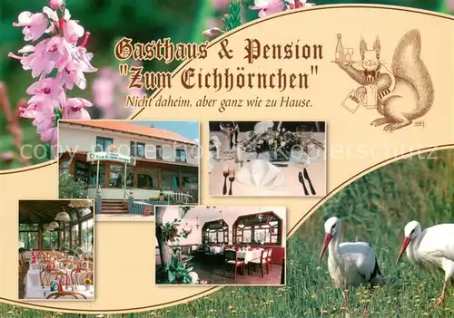 AK / Ansichtskarte Reichenhall_Bad Restaurant Pension zum Eichh?rnchen Reichenhall_Bad