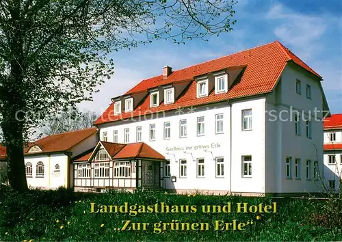 AK / Ansichtskarte Erlau_Schleusingen Landgasthaus Hotel zur gr?nen Erle 