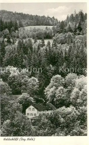 AK / Ansichtskarte Bayerischer_Wald Gasthof Waldschloessl Bayerischer Wald