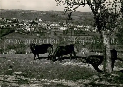 AK / Ansichtskarte Maurs Vue Generale Maurs