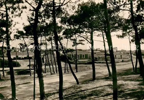 AK / Ansichtskarte Sion_sur_Ocean Entree en foret et les chalets Sion_Sur_Ocean