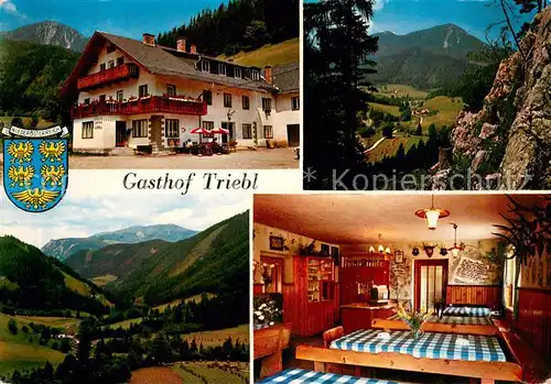 AK / Ansichtskarte Schwarzau_Gebirge Gasthof Triebl Schwarzau Gebirge