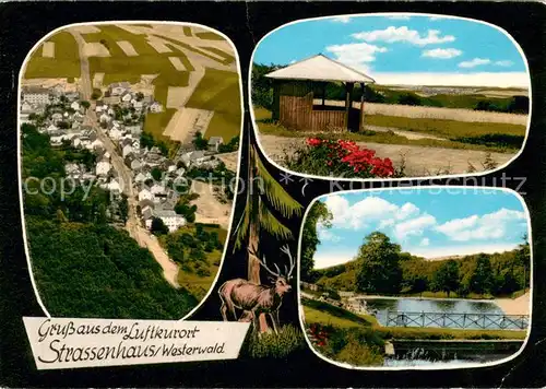 AK / Ansichtskarte Strassenhaus Fliegeraufnahme Pavillon Park Strassenhaus