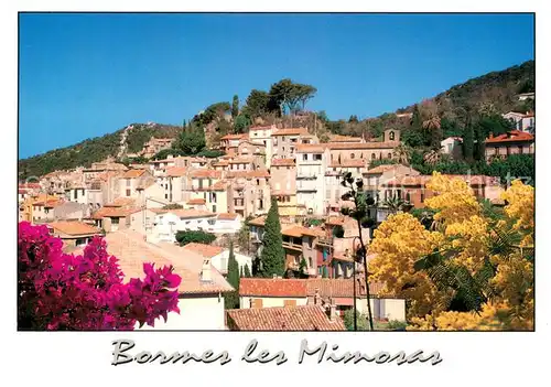AK / Ansichtskarte Bormes les Mimosas Vue d ensemble Bormes les Mimosas