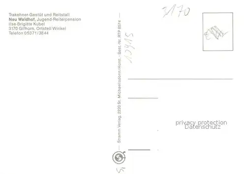 AK / Ansichtskarte Gifhorn Trakehner Gest?t Neu Waldhof Pferde Gifhorn