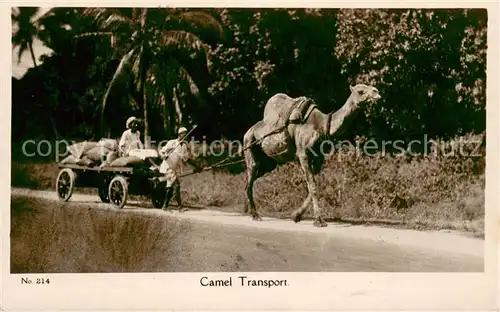 AK / Ansichtskarte Mombasa Camel Transport Mombasa