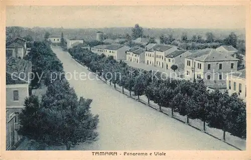 AK / Ansichtskarte Tamara_de_Campos Panorama e Viale 