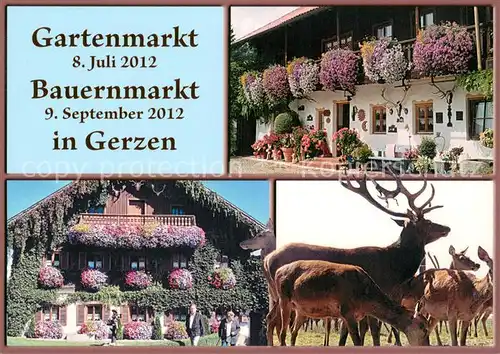 AK / Ansichtskarte Gerzen Gartenmarkt Bauernmarkt Gerzen