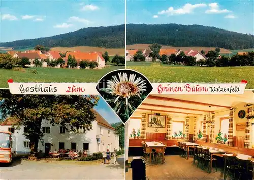 AK / Ansichtskarte Waizenfeld Gasthaus zum gr?nen Baum Waizenfeld