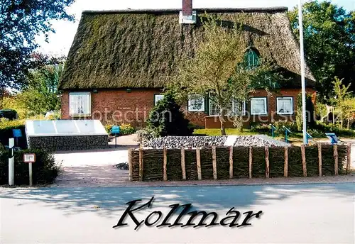 AK / Ansichtskarte Kollmar_Holstein Reetdachhaus 