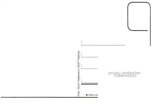 AK / Ansichtskarte Kollmar_Holstein Reetdachhaus 