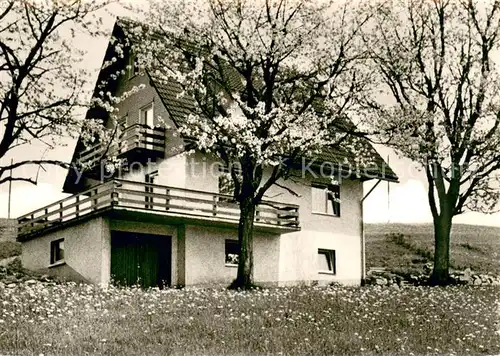 AK / Ansichtskarte Oberhoellsteig_Hinterzarten Gaestehaus Haus Hoellentalblick Baumbluete Schwarzwald 