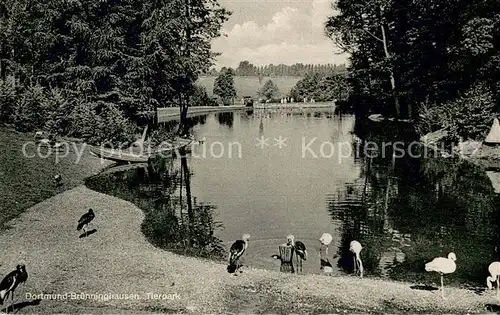 AK / Ansichtskarte Bruenninghausen Tierpark Bruenninghausen
