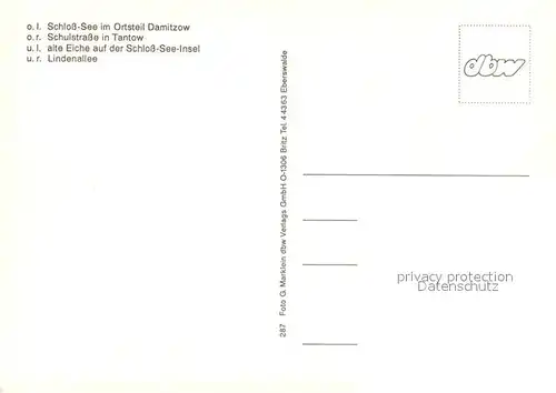 AK / Ansichtskarte Tantow Schloss See in Damitzow Schulstrasse Alte Eiche Lindenallee Tantow