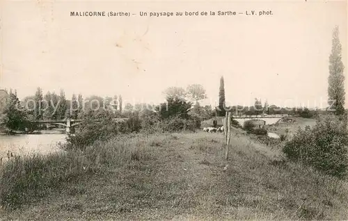 AK / Ansichtskarte Malicorne sur Sarthe Un paysage au bord de la Sarthe Malicorne sur Sarthe