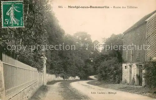 AK / Ansichtskarte Montge sous Dammartin Route des Tillieres 