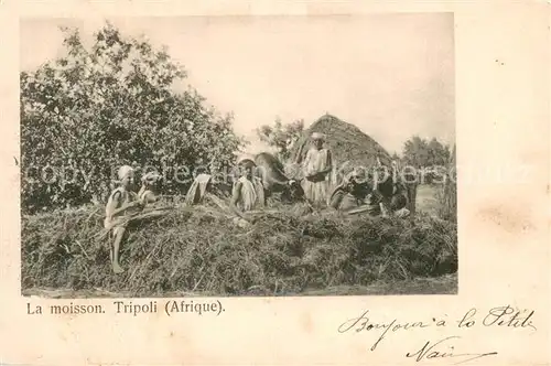 AK / Ansichtskarte Tripolis_Libyen La moisson Tripolis Libyen