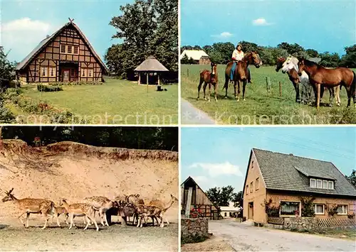 AK / Ansichtskarte Trebel Reiterhof Klaucke Wild Pferde Trebel