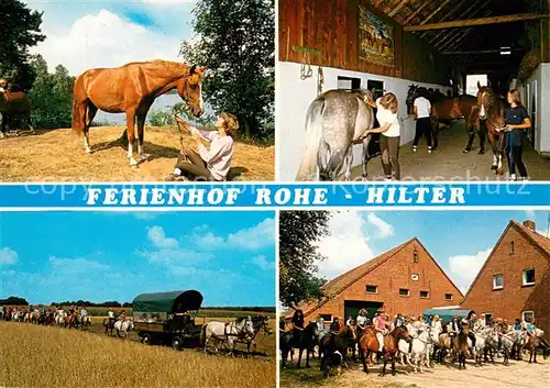 AK / Ansichtskarte Lathen Ferienhof Rohe Pferde Lathen