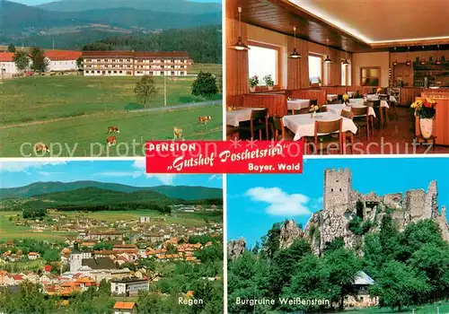 AK / Ansichtskarte Poschetsried Pension Gutshof Burgruine Weissenstein Regen  Poschetsried