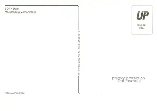 AK / Ansichtskarte Born_Darss Fliegeraufnahme Born_Darss