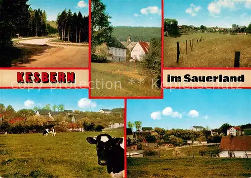 Kesbern Gaststaette Daute Panorama Rinderweide Kesbern