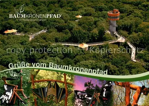 AK / Ansichtskarte Hainich Hoerselberg Baumkronenpfad im Nationalpark Fliegeraufnahme Hainich Hoerselberg