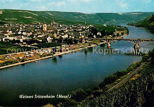 AK / Ansichtskarte Trittenheim_Mosel Panorama Trittenheim Mosel