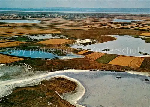 Burgenland_Oesterreich Seewinkel Zicklacken mit Neusiedlersee und Leithagebirge Burgenland_Oesterreich