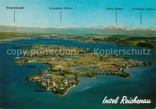 AK / Ansichtskarte Insel_Reichenau Alpenkette Fliegeraufnahme Insel Reichenau