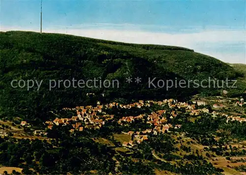 AK / Ansichtskarte Dannenfels Fliegeraufnahme mit Fernsehturm Dannenfels