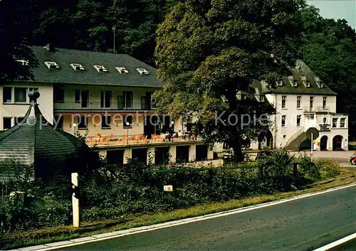 AK / Ansichtskarte Bad_Toenisstein Burgbrohl Laacher See 