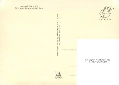 AK / Ansichtskarte Bad_Driburg Blick vom Iberg zum Steinberg Bad_Driburg