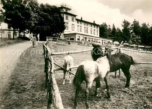 AK / Ansichtskarte Wieda Berghotel Stoeberhai Pferdekoppel Wieda