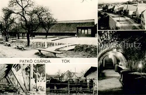 AK / Ansichtskarte Toek_Ungarn Patko Csarda Details Toek_Ungarn