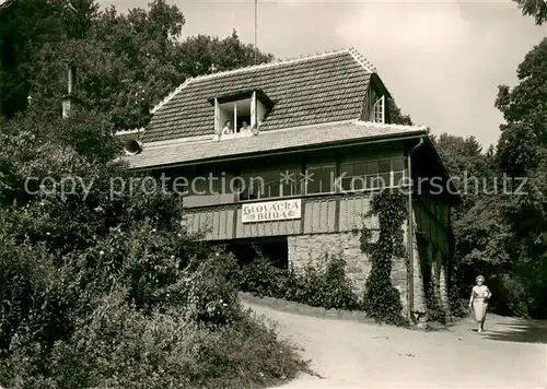 AK / Ansichtskarte Lazne_Luhacovice Slovacka Buda Lazne Luhacovice