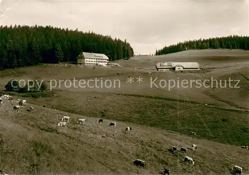 AK / Ansichtskarte Geschwend_Todtnau Berggasthof Pension Gisiboden Geschwend Todtnau