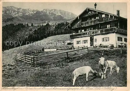 Bad_Toelz Blomberghaus mit Benediktenwandgruppe Bayerische Voralpen Almvieh Kuehe Bad_Toelz