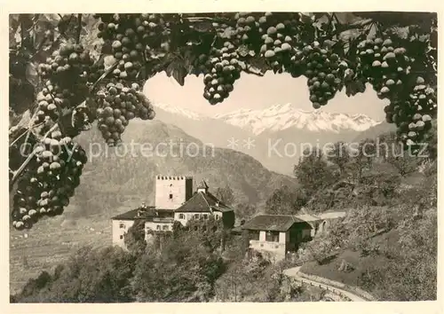 Meran_Merano Castel Torre Schloss Thurnstein Weintrauben Alpenblick Meran Merano