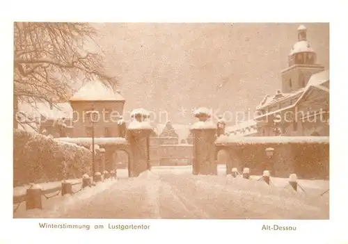 Alt_Dessau Winterstimmung am Lustgartentor Alt_Dessau