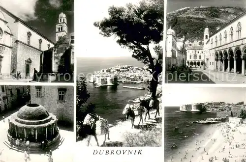 AK / Ansichtskarte Dubrovnik_Ragusa Altstadt Hafen Strand Lasttiere Dubrovnik Ragusa