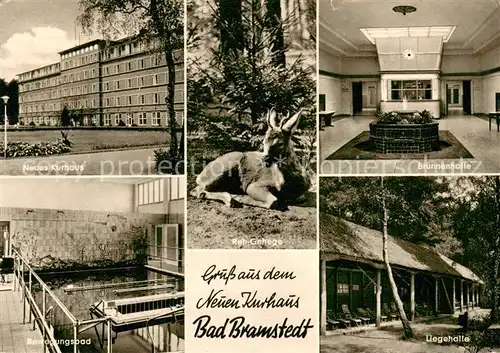 AK / Ansichtskarte Bad_Bramstedt Neues Kurhaus Bewegungsbad Brunnenhalle Liegehalle Reh Gehege Bad_Bramstedt