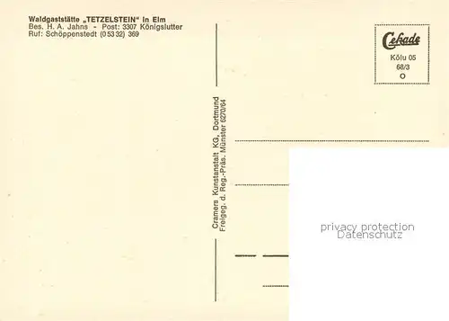 AK / Ansichtskarte Koenigslutter_Elm Waldgaststaette Tetzelstein Fliegeraufnahme Koenigslutter Elm