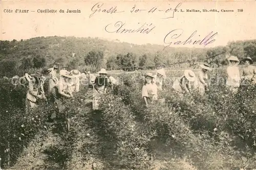 Azur Cate d`azur pfl?ckender Jasmin Azur