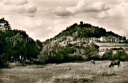Nuerburg Landschaftspanorama mit Blick zur Burg Nuerburg