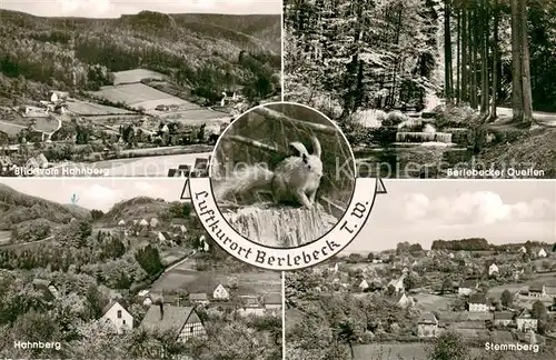 Berlebeck Panorama Blick vom Hahnberg Eichhoernchen Quellen Stemmberg Berlebeck