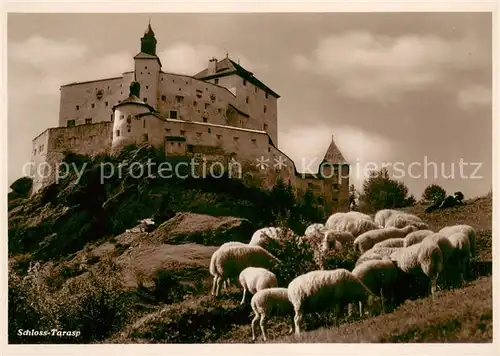 Tarasp Schafherde am Schloss Tarasp