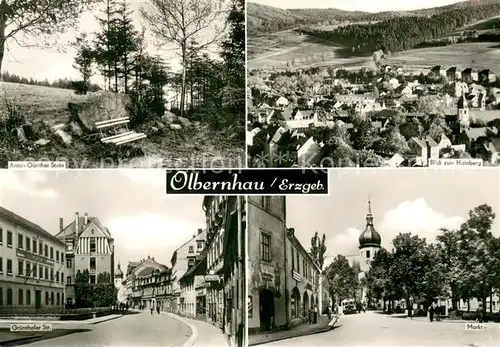 Olbernhau_Erzgebirge Anton Guenther Stein Gedenkstein Gruenthaler Strasse Markt Kirche Panorama Blick vom Hainberg Olbernhau Erzgebirge
